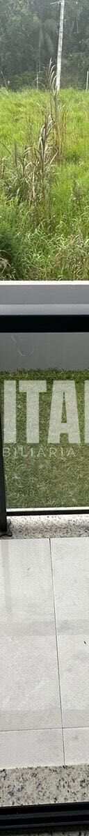 Miniatura 13