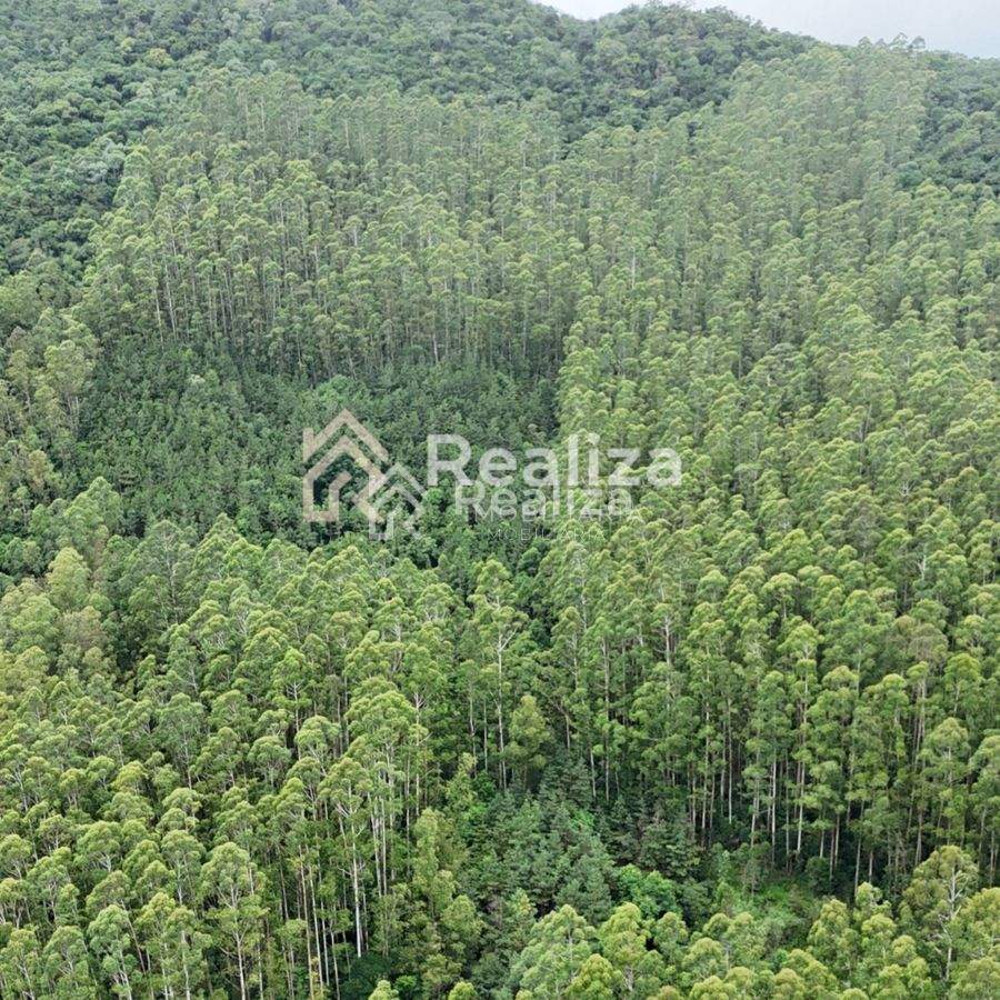 TERRENO À VENDA EM LEOBERTO LEAL-SC - 2