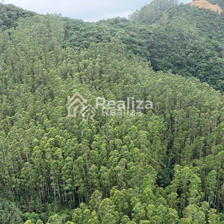 TERRENO À VENDA EM LEOBERTO LEAL-SC - 3