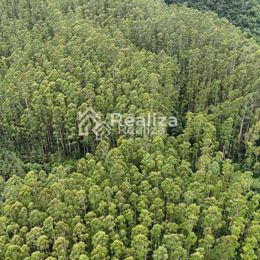 TERRENO À VENDA EM LEOBERTO LEAL-SC - 4