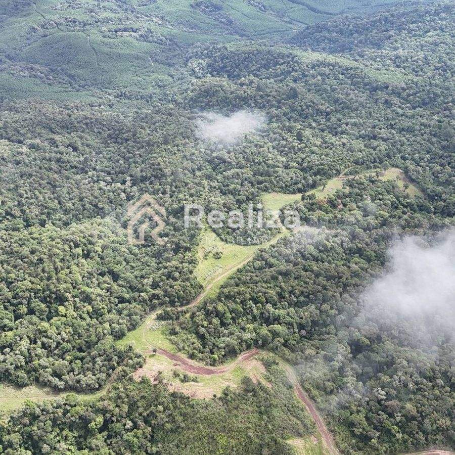 TERRENO À VENDA NO FAXINAL DOS TIGRES- PETROLÂNDIA! - 6