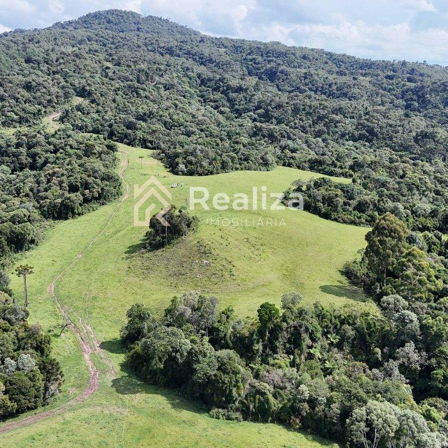 TERRENO À VENDA NO FAXINAL DOS TIGRES- PETROLÂNDIA! - 7