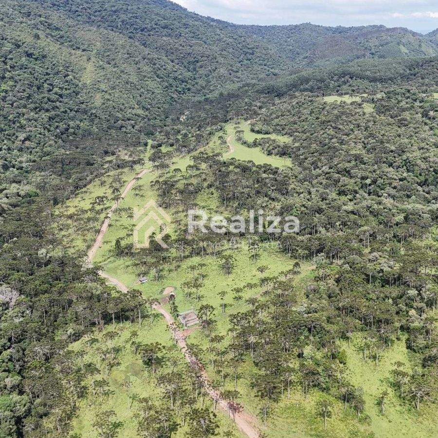 TERRENO À VENDA NO FAXINAL DOS TIGRES- PETROLÂNDIA! - 9