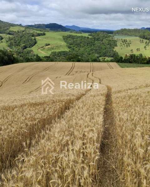 Terreno Rural à Venda em Rio Bonito, Ituporanga-SC 🌱 - 2