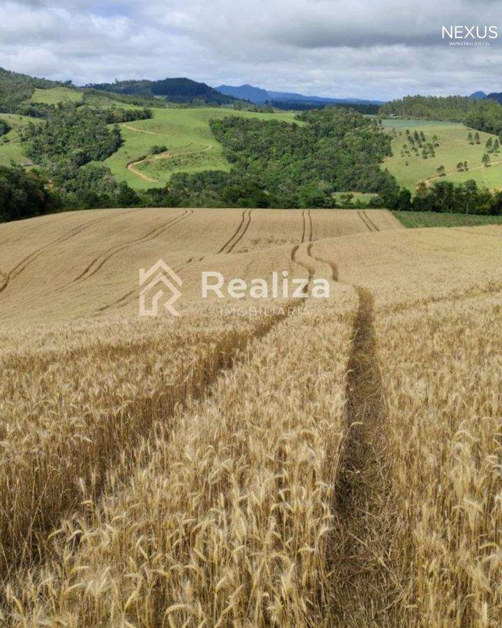 Terreno Rural à Venda em Rio Bonito, Ituporanga-SC 🌱 - 2
