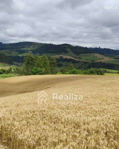 Terreno Rural à Venda em Rio Bonito, Ituporanga-SC 🌱 - 3