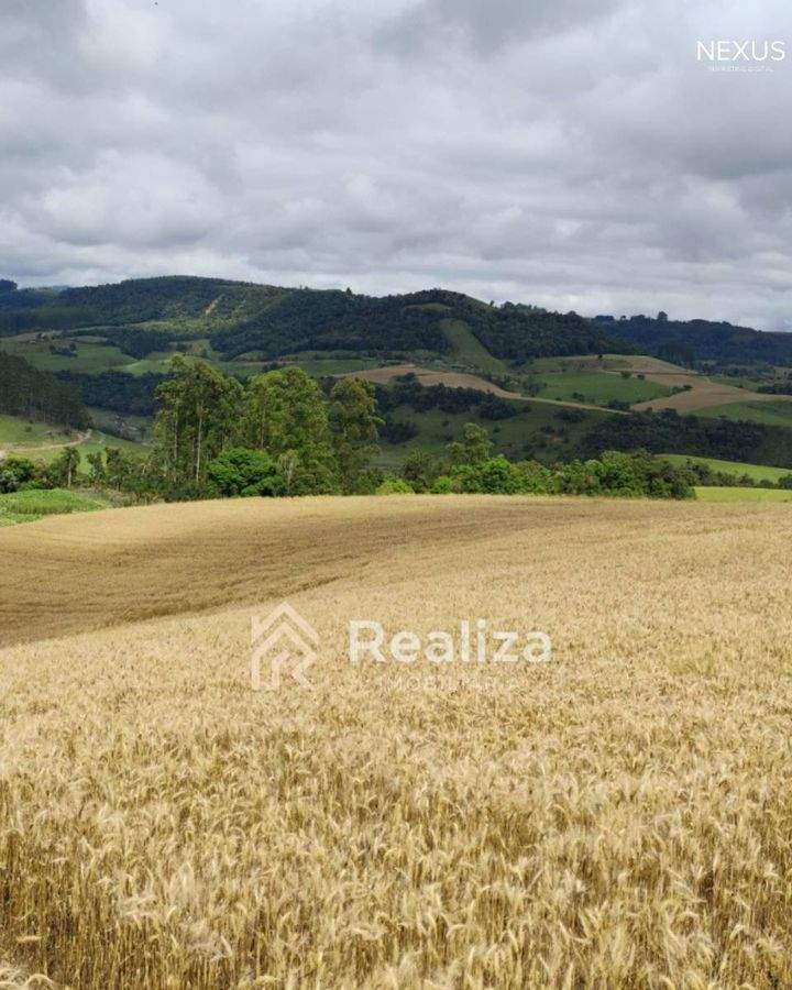 Terreno Rural à Venda em Rio Bonito, Ituporanga-SC 🌱 - 3