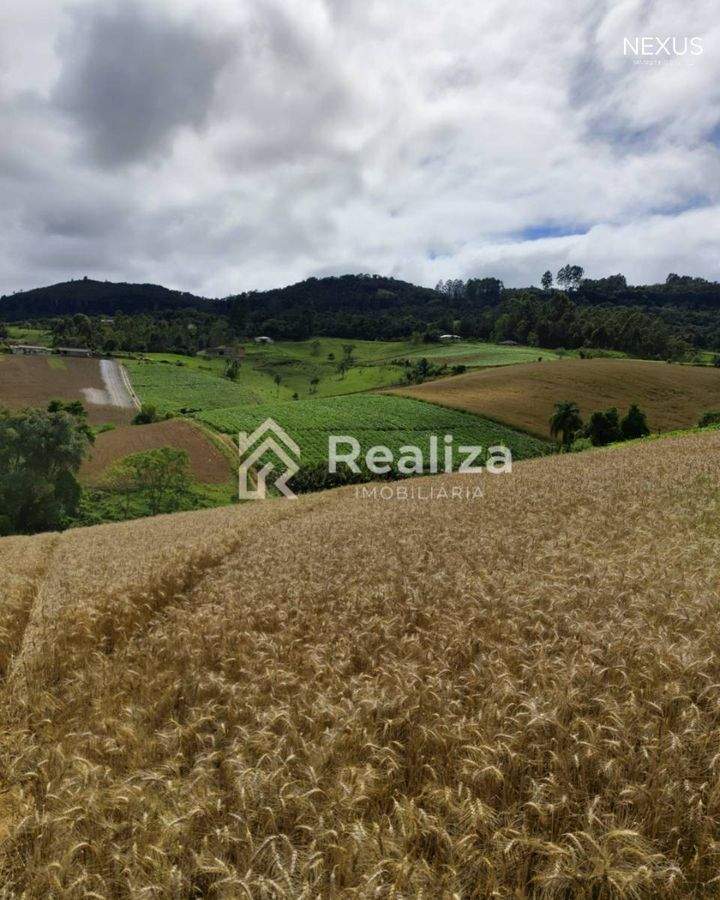 Terreno Rural à Venda em Rio Bonito, Ituporanga-SC 🌱 - 4