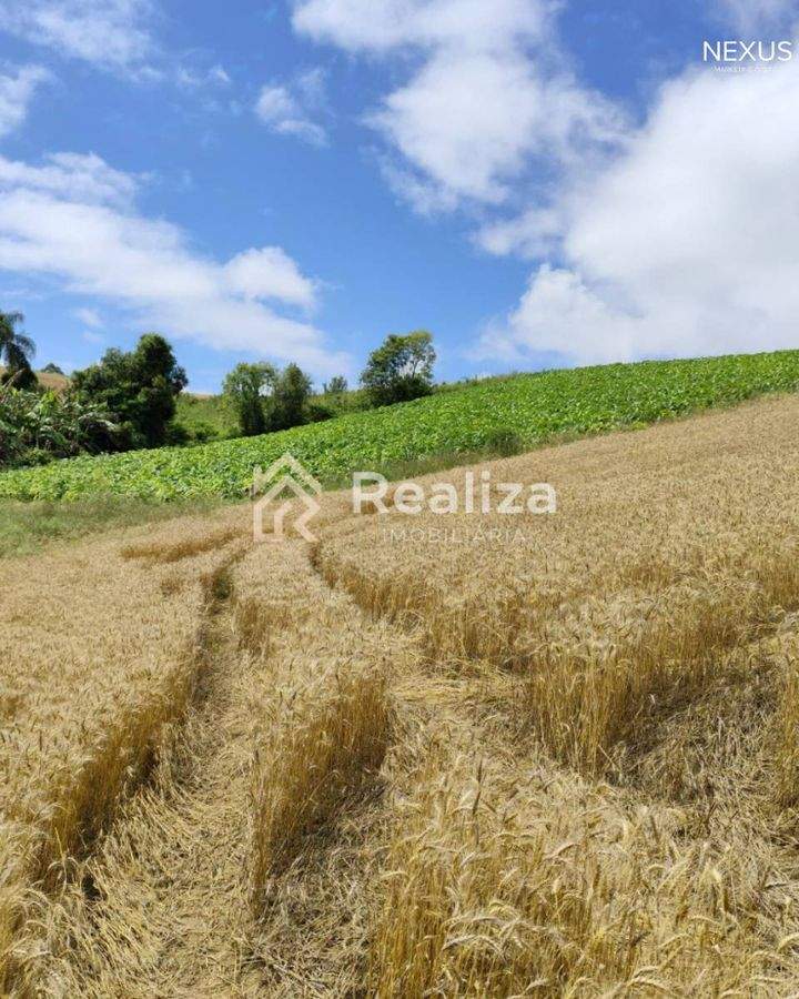 Terreno Rural à Venda em Rio Bonito, Ituporanga-SC 🌱 - 5