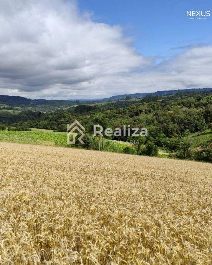 Terreno Rural à Venda em Rio Bonito, Ituporanga-SC 🌱 - 6