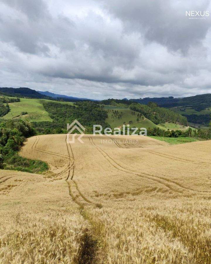 Terreno Rural à Venda em Rio Bonito, Ituporanga-SC 🌱 - 7
