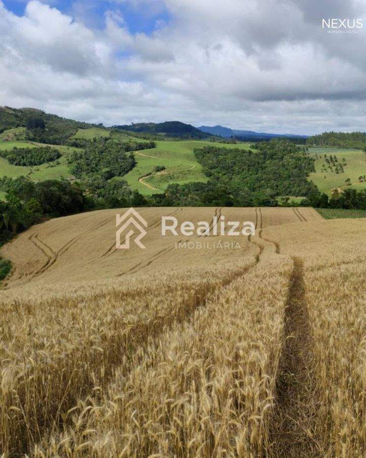 Terreno Rural à Venda em Rio Bonito, Ituporanga-SC 🌱 - 8