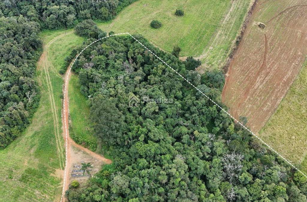Oportunidade de investimento em Ituporanga! Estrada Geral Rio Perimbó – Ituporanga - 8