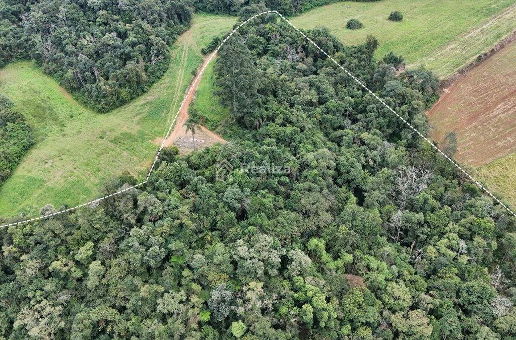 Oportunidade de investimento em Ituporanga! Estrada Geral Rio Perimbó – Ituporanga - 9