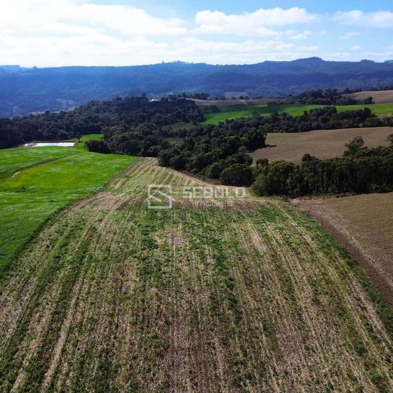 Terreno Rural na Localidade de Alto Ribeirão Pacas - Aurora - 2