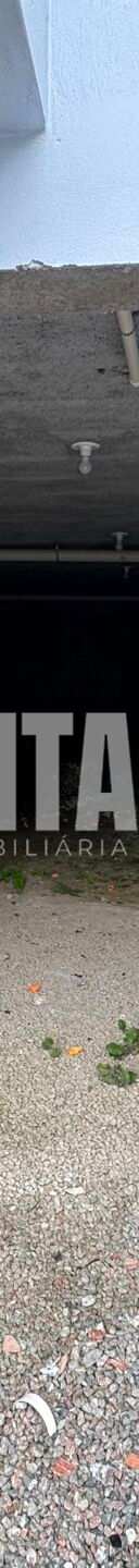 Miniatura 23