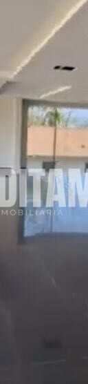 Miniatura 10
