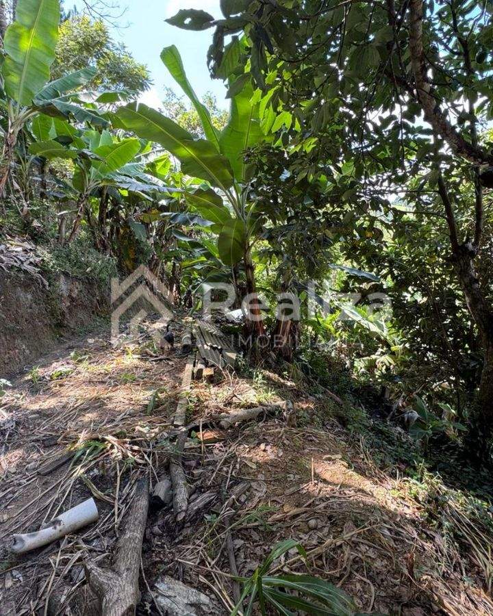 TERRENO À VENDA NA VILA NOVA, ITUPORANGA - 2