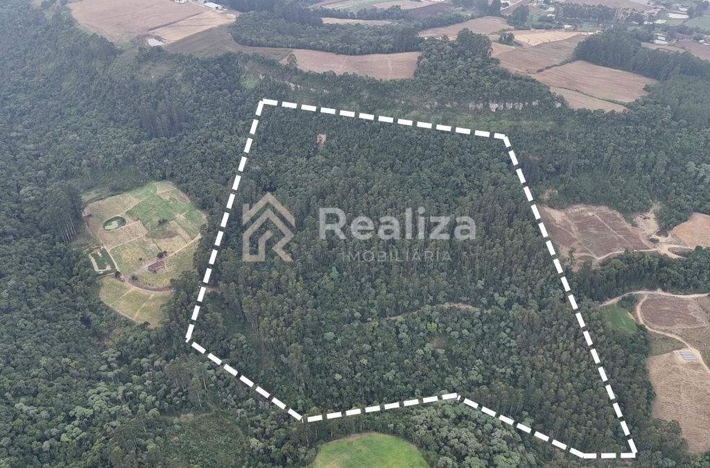 🌿 Terreno à Venda – Imbuia - 1