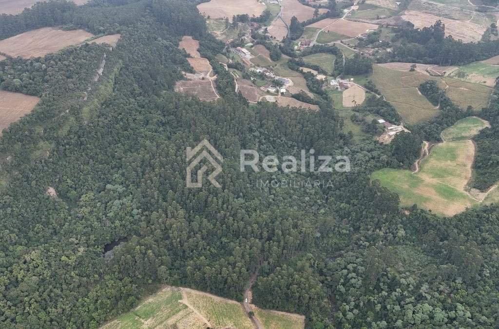 🌿 Terreno à Venda – Imbuia - 2