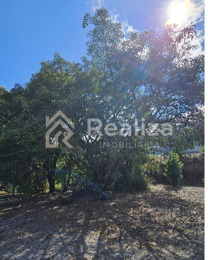 SÍTIO À VENDA EM IMBUIA - GARRAFÃO - 6