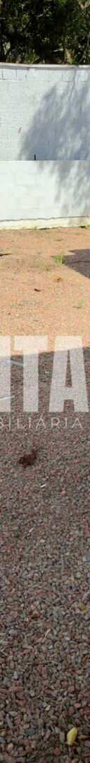 Miniatura 17