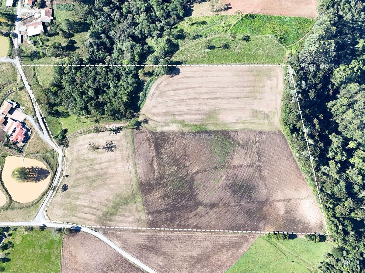 Oportunidade imperdível! Terreno agrícola à venda 📍 Localizado em Pinhal