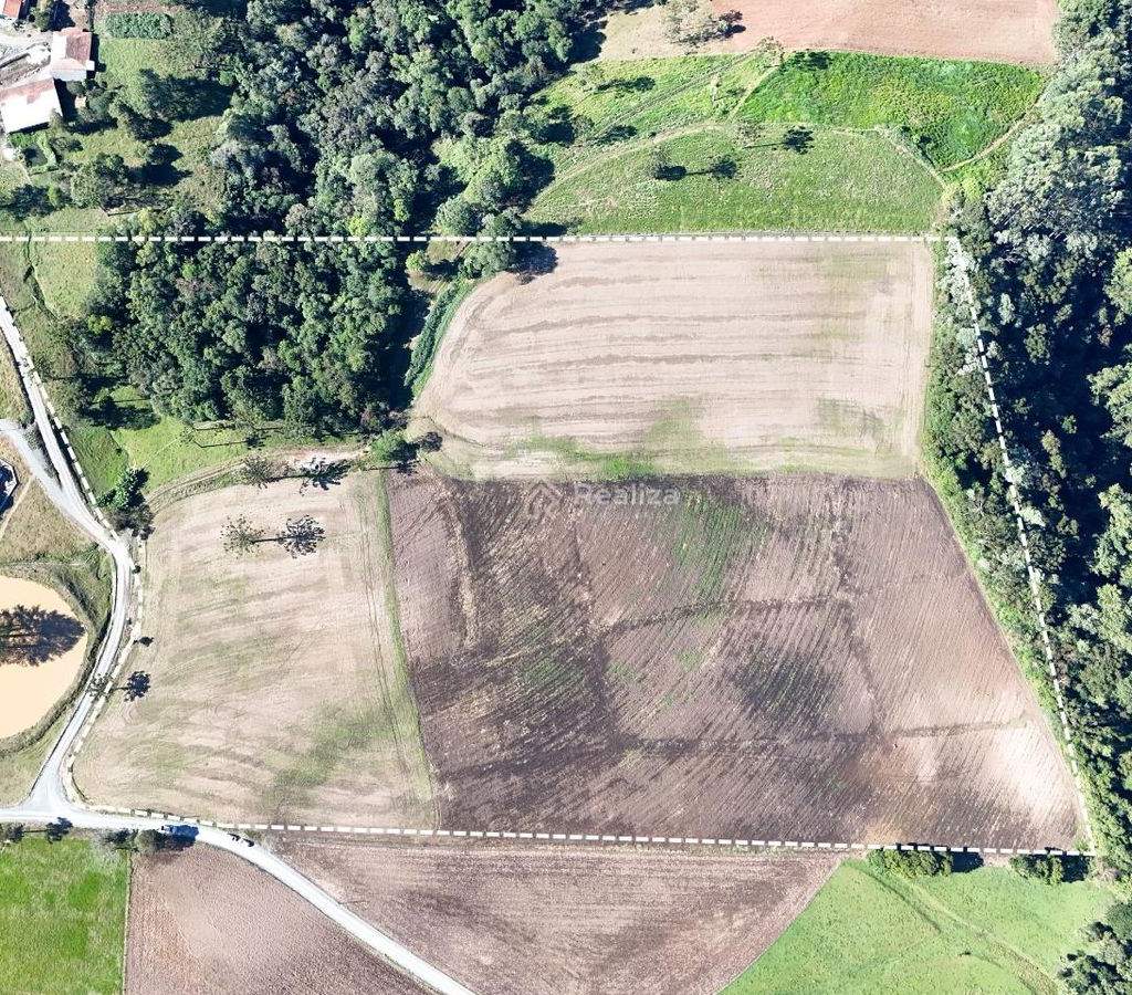 Oportunidade imperdível! Terreno agrícola à venda 📍 Localizado em Pinhal - 1
