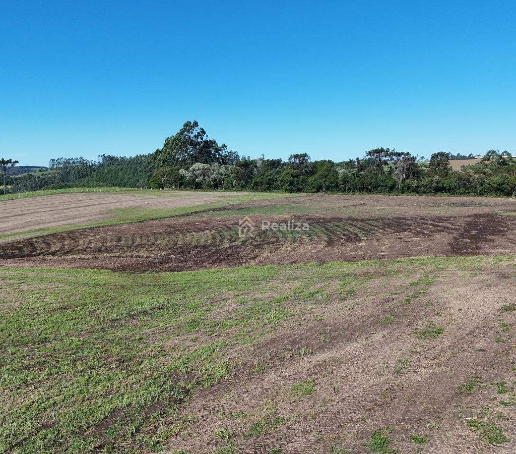 Oportunidade imperdível! Terreno agrícola à venda 📍 Localizado em Pinhal - 3