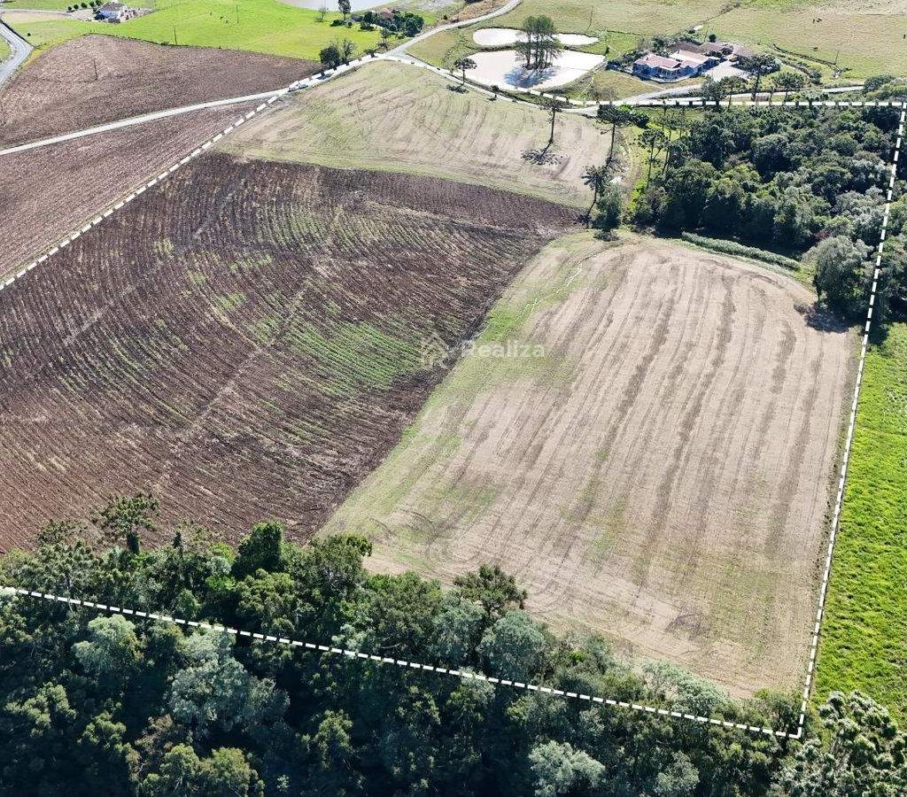 Oportunidade imperdível! Terreno agrícola à venda 📍 Localizado em Pinhal - 4