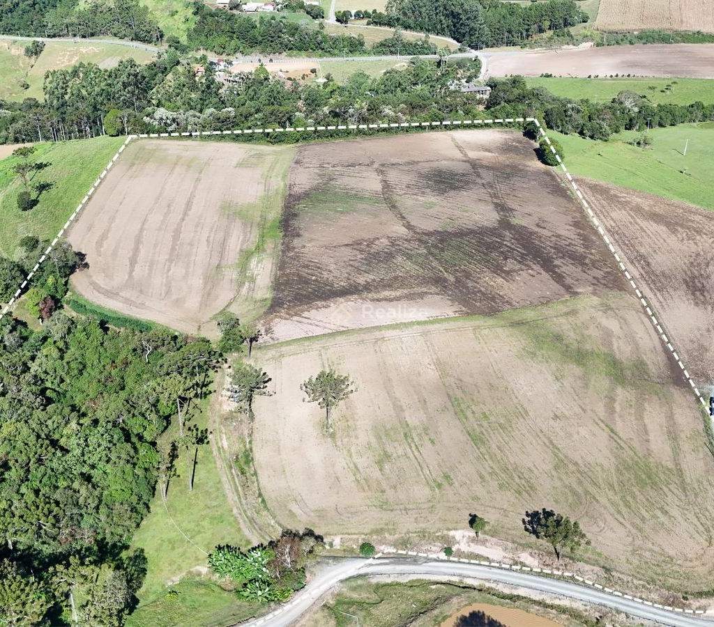 Oportunidade imperdível! Terreno agrícola à venda 📍 Localizado em Pinhal - 5