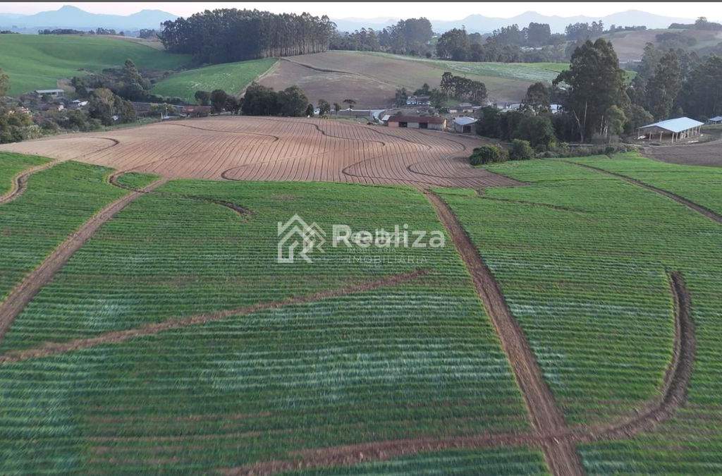 OPORTUNIDADE DE INVESTIMENTO RURAL! 🌿 Terreno à venda📍 Bracatinga – Imbuia - 4