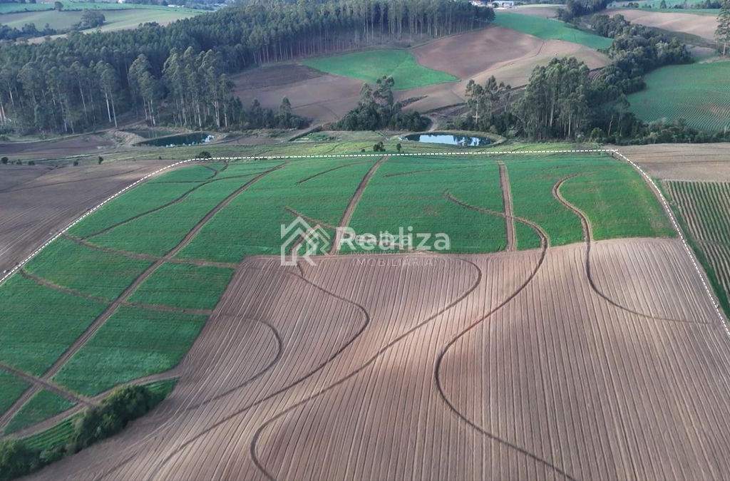 OPORTUNIDADE DE INVESTIMENTO RURAL! 🌿 Terreno à venda📍 Bracatinga – Imbuia - 6