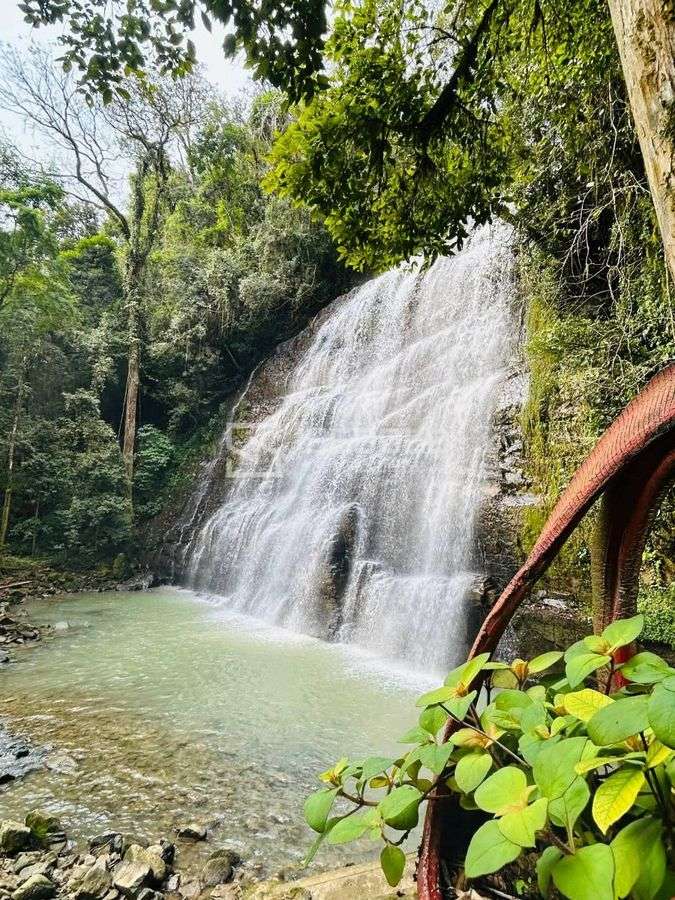 Terreno Rural com Cachoeira - Bairro Rio Batalha, Ituporanga - 5