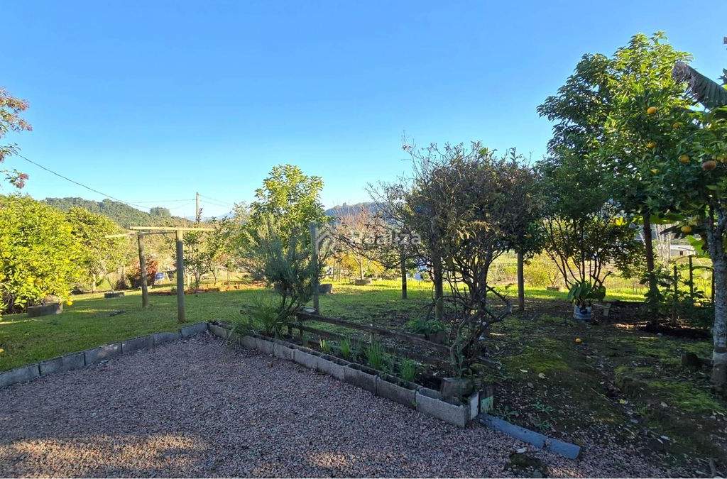 Sítio à venda 🌿 Um lugar perfeito para quem busca tranquilidade, espaço e contato com a natureza! - 6
