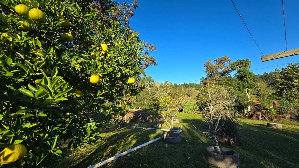 Sítio à venda 🌿 Um lugar perfeito para quem busca tranquilidade, espaço e contato com a natureza! - 14