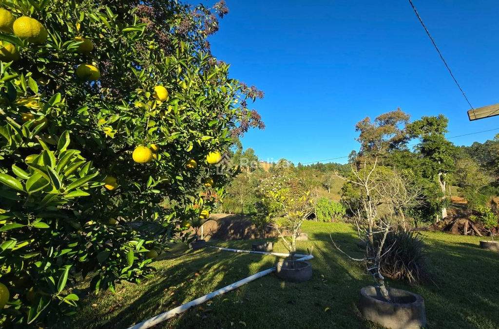Sítio à venda 🌿 Um lugar perfeito para quem busca tranquilidade, espaço e contato com a natureza! - 14