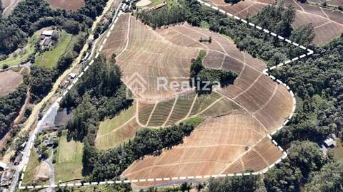 Terreno à venda em Braço Perímbo! 🌱 - 2