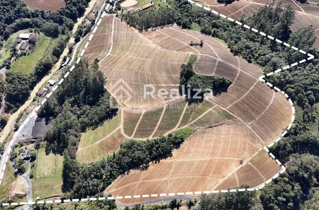 Terreno à venda em Braço Perímbo! 🌱 - 2