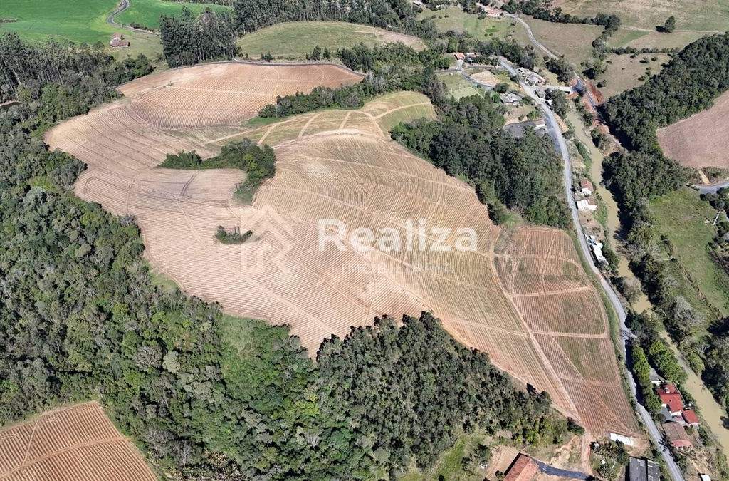Terreno à venda em Braço Perímbo! 🌱 - 4