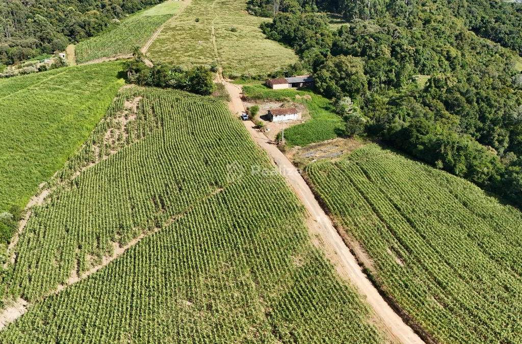 Terreno à Venda 🌿 📍 Localizado em Barro Branco – Alfredo Wagner - 3