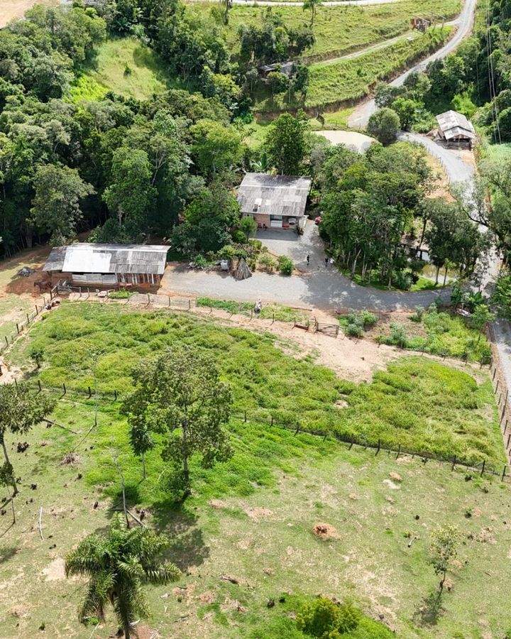 SÍTIO À VENDA EM PETROLÂNDIA-SC - R$ 400 mil - 1