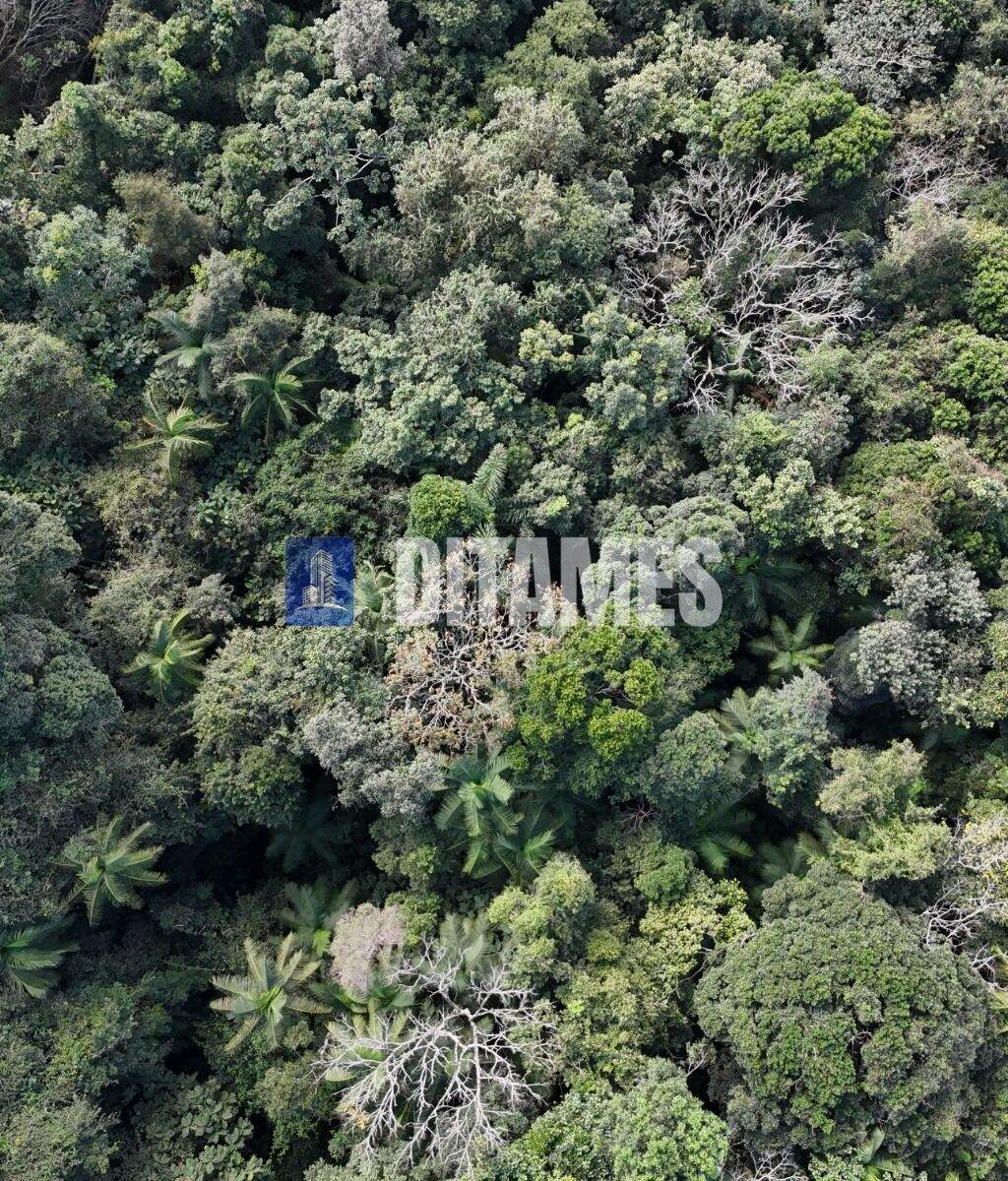 Terreno à venda no bairro Fundo Canoas em Rio do Sul/SC - 4