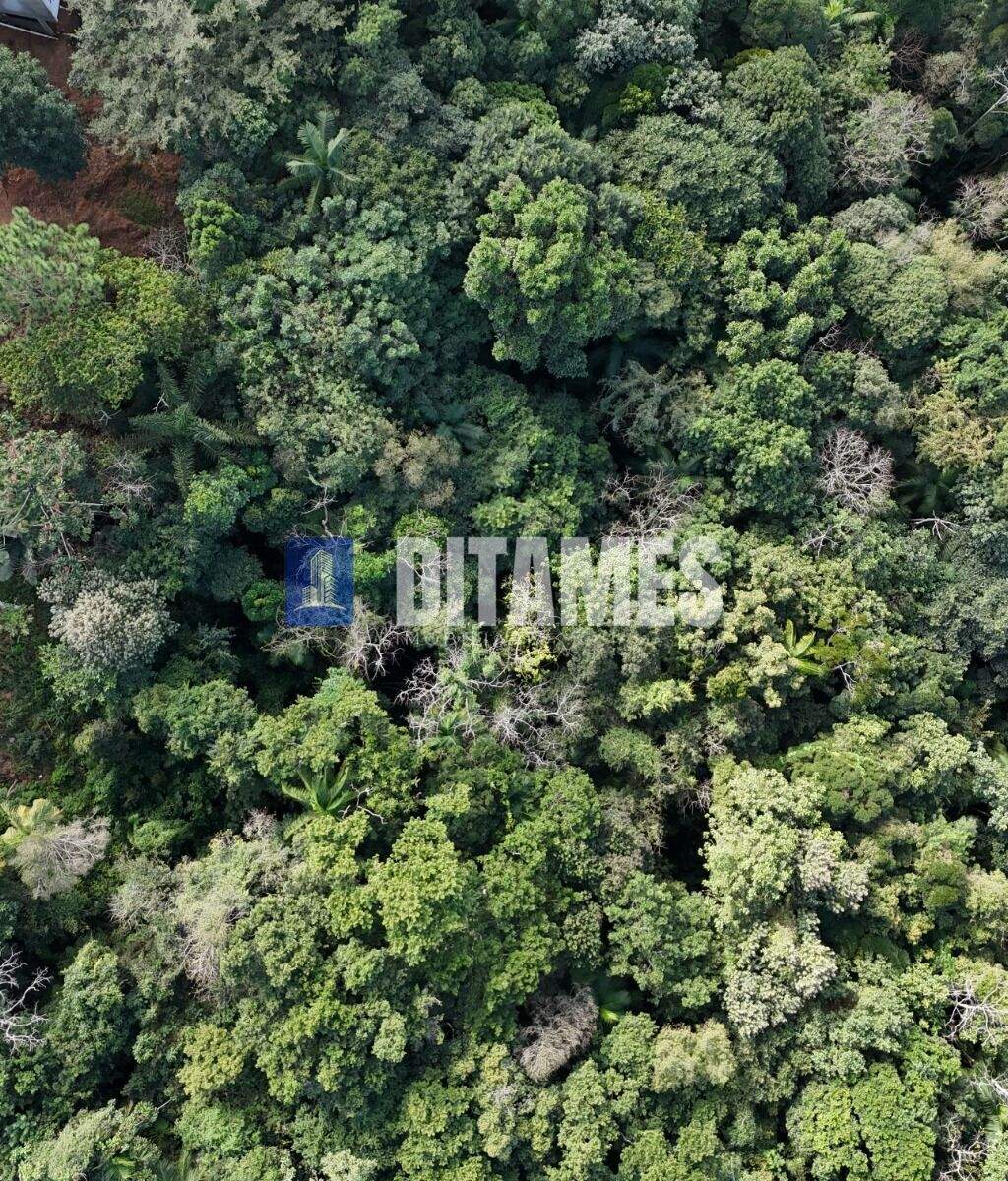 Terreno à venda no bairro Fundo Canoas em Rio do Sul/SC - 5