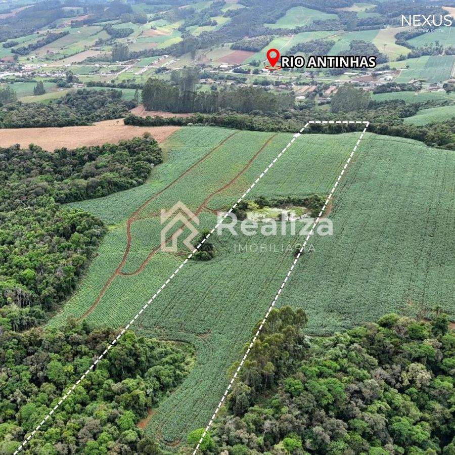 TERRENO RURAL À VENDA EM PETROLÂNDIA-SC! - 1