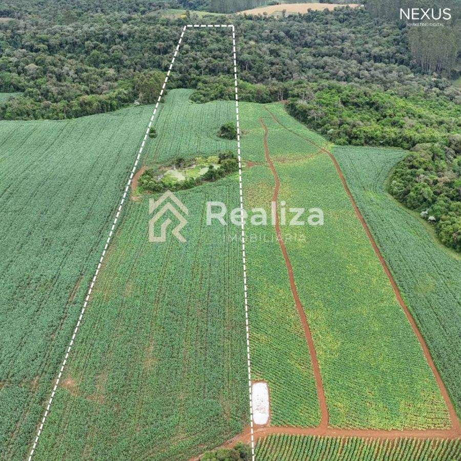 TERRENO RURAL À VENDA EM PETROLÂNDIA-SC! - 2