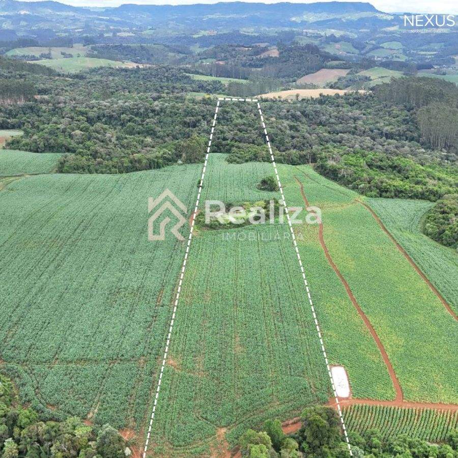 TERRENO RURAL À VENDA EM PETROLÂNDIA-SC! - 3