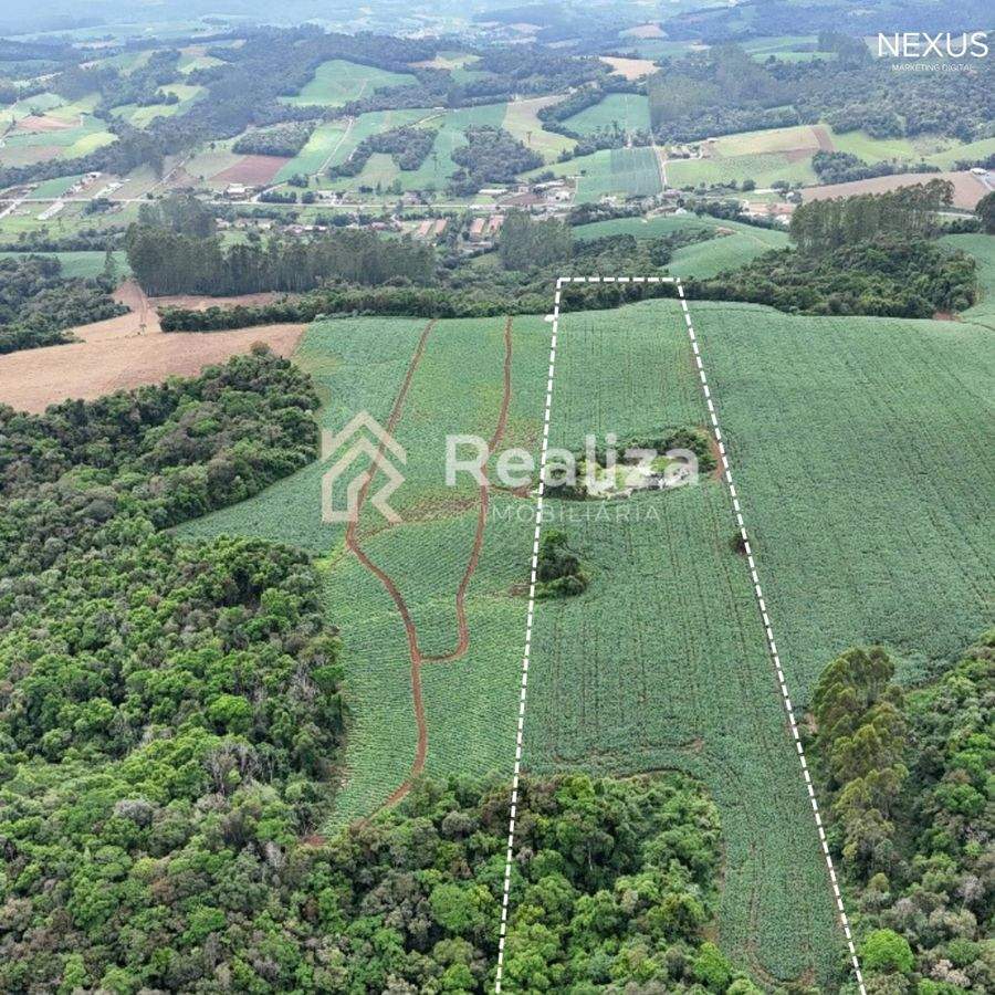 TERRENO RURAL À VENDA EM PETROLÂNDIA-SC! - 4
