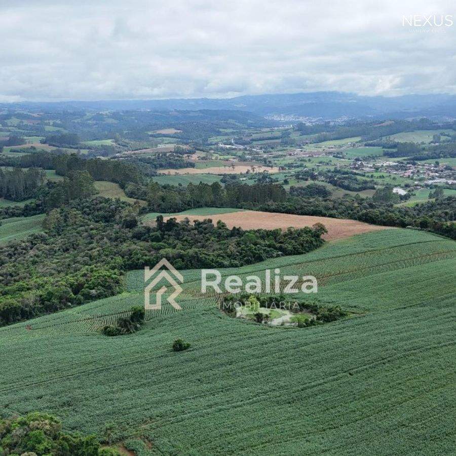 TERRENO RURAL À VENDA EM PETROLÂNDIA-SC! - 5