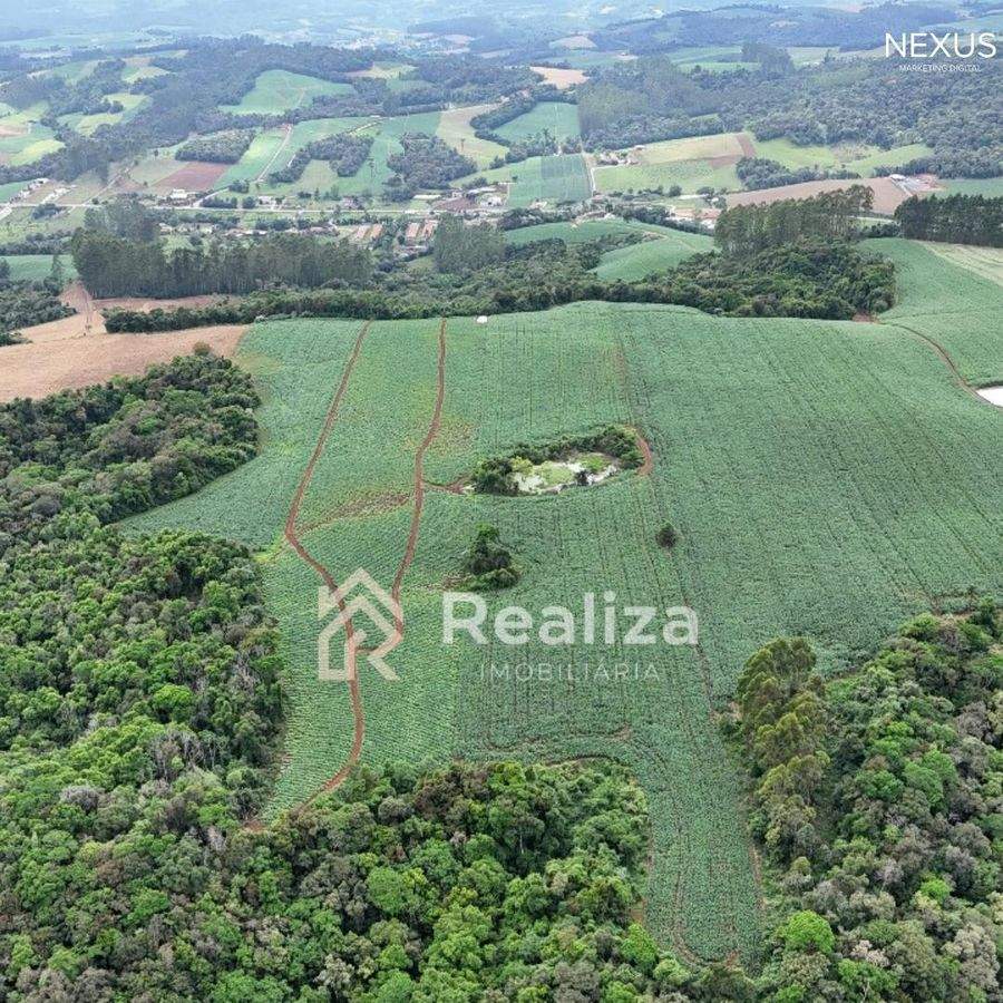 TERRENO RURAL À VENDA EM PETROLÂNDIA-SC! - 6